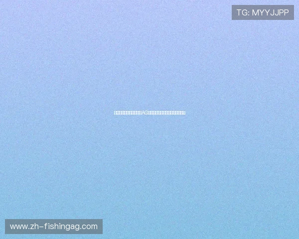 如何通过多线路切换确保AG网址登录不掉线实现顺畅游戏体验